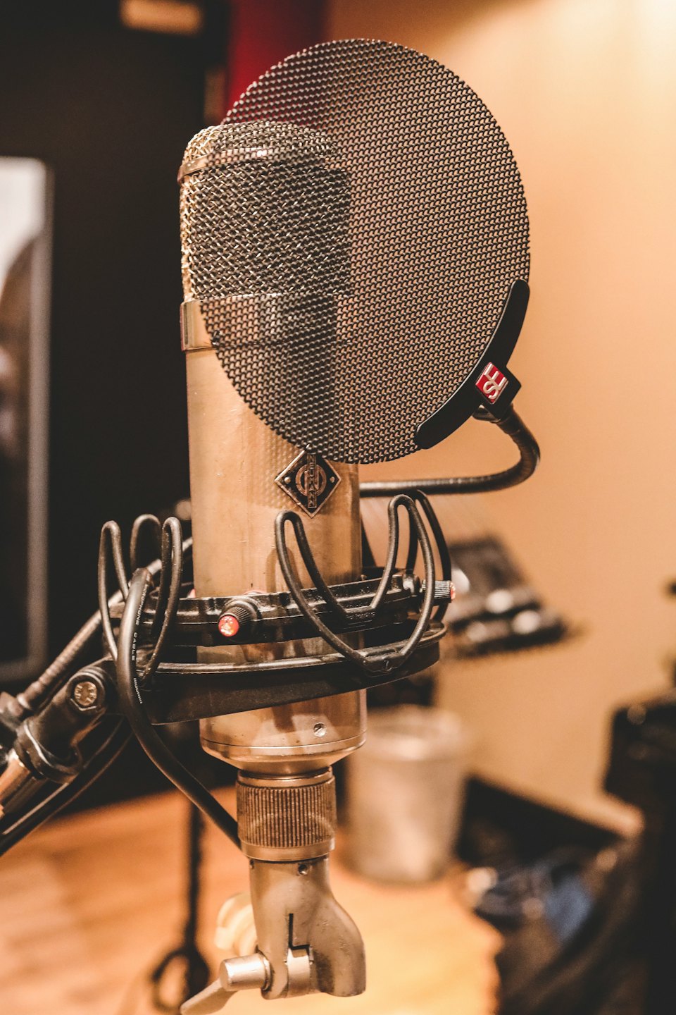 Microphone de studio vintage avec filtre anti-pop.